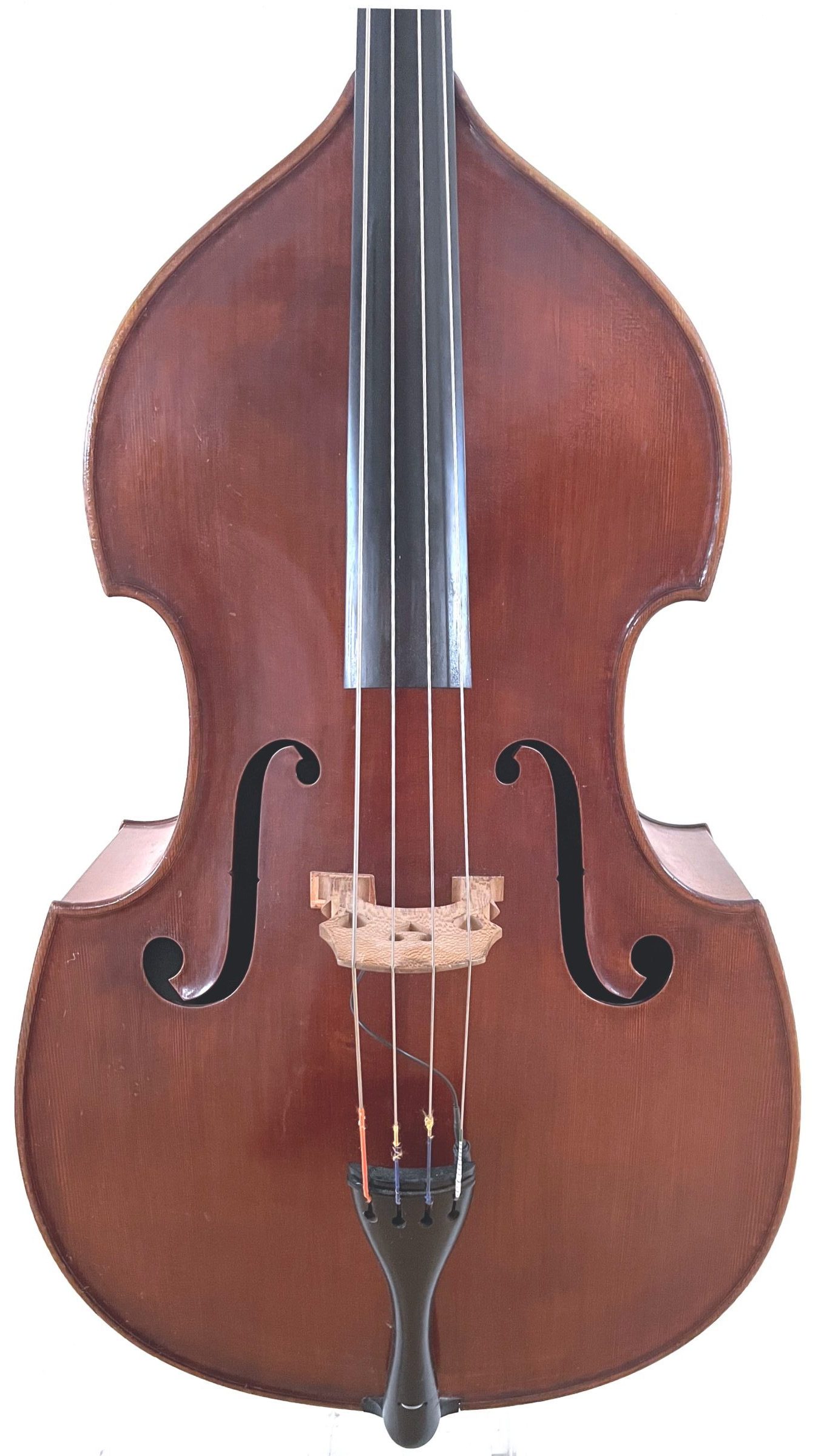Rugieri